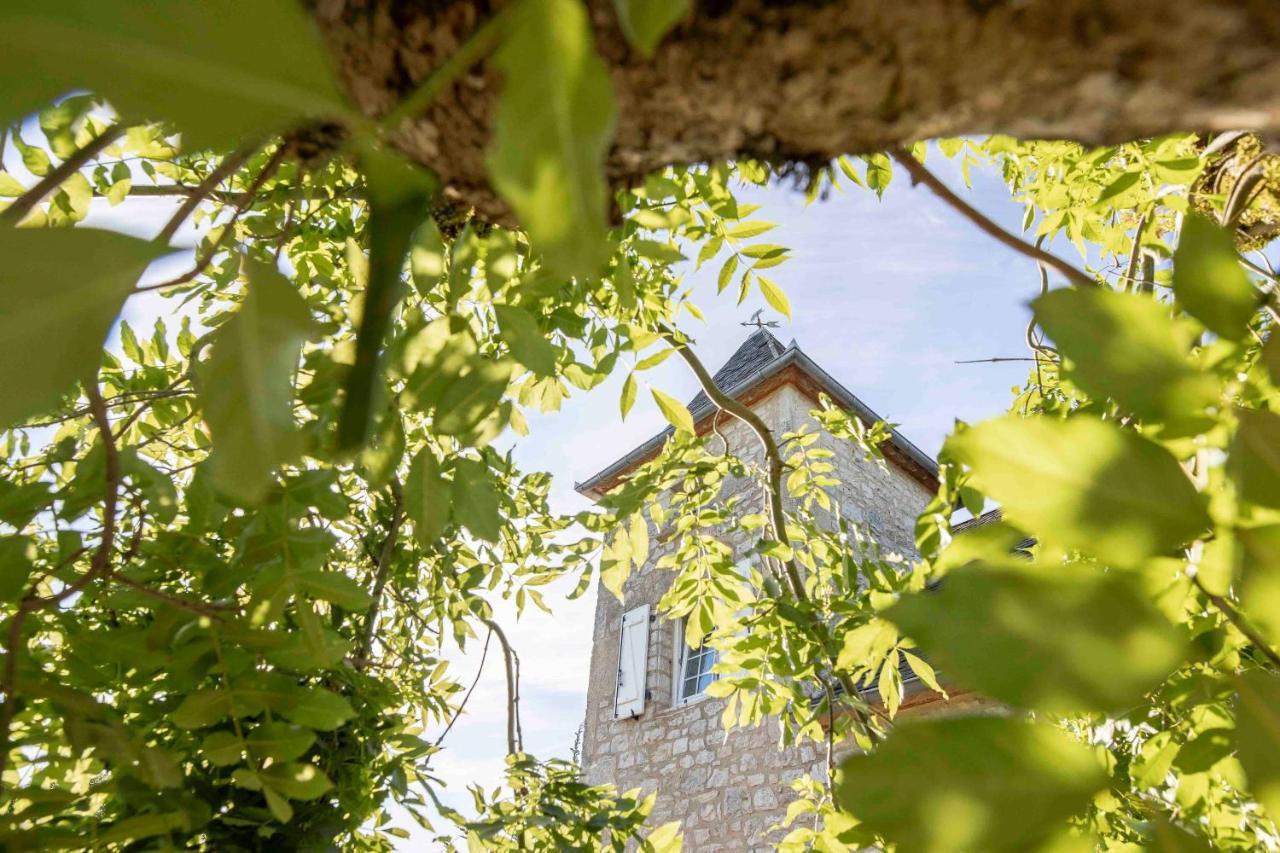 Bed and Breakfast Domaine La Garenne Reilhaguet Exterior foto